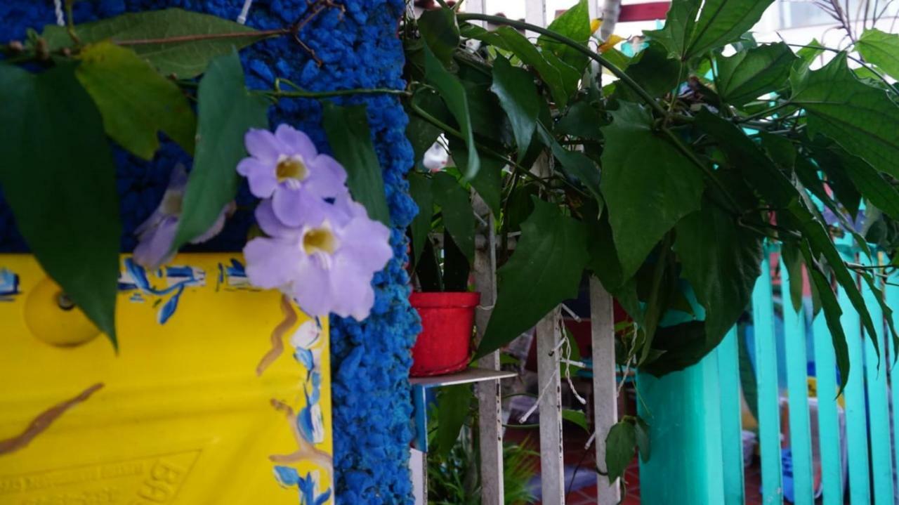 Hostel Trópico de Capricórnio - Itaguá Ubatuba Esterno foto